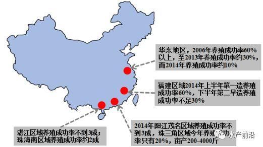 养虾产量18万吨暴跌至10万吨，P20模式雷霆救市助力虾农破困局