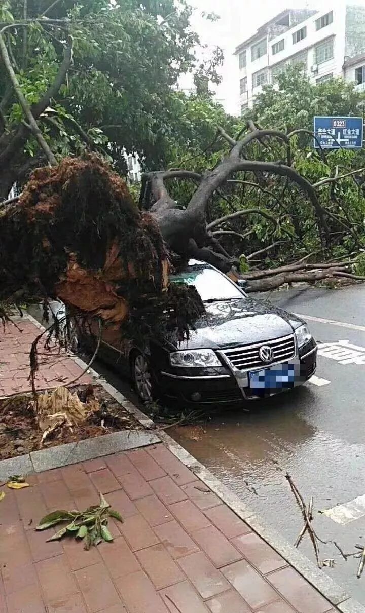 江西地区1人遭雷击！狂风暴雨雷电袭赣！多地受灾