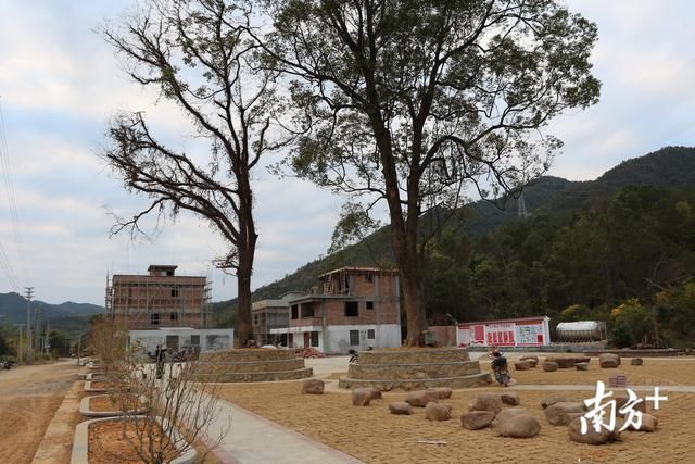 三层楼地基标准