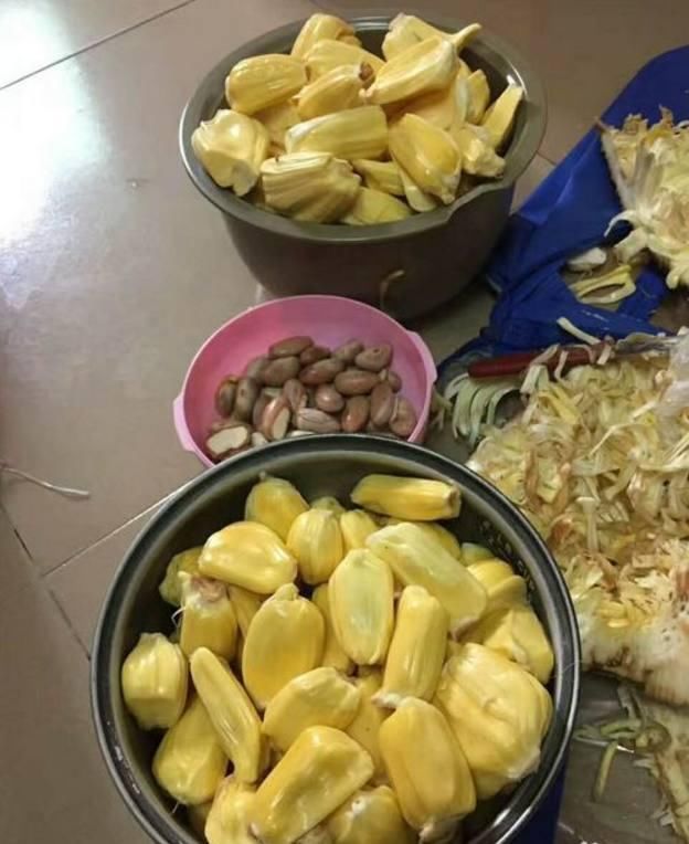 世上最重的水果，全身都是宝，但我们却把最好吃的部分扔掉了！