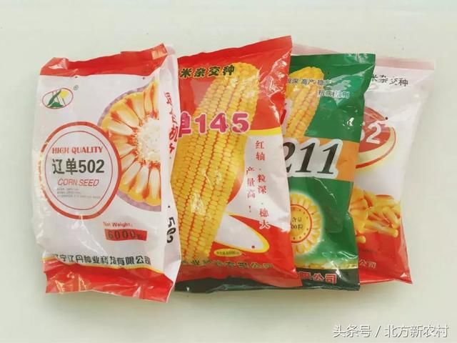 重点关注：造成玉米减产的十大排名，你知道几个？