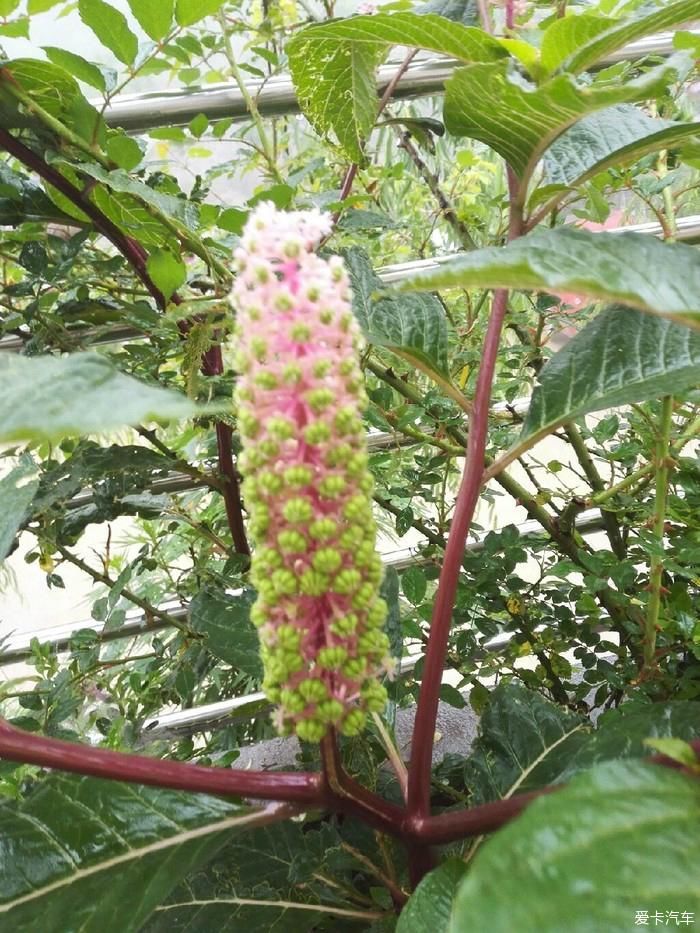 陕西福特车队秦岭大峪自驾游汇报帖