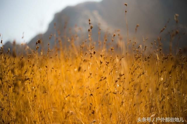 驻马店这座山的景色，一点也不输旅游景区，没门票可劲儿玩！