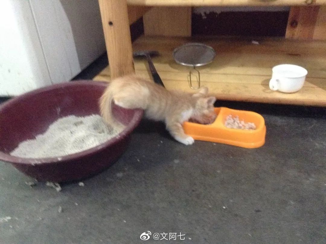 大型偷拍坐在现场!头像一条有这是的v头像…拉屎海边的女生味道图片