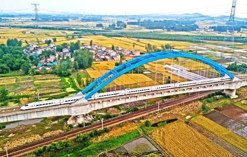 沈强率队赴江苏招商|寿县扫黑除恶专项斗争强