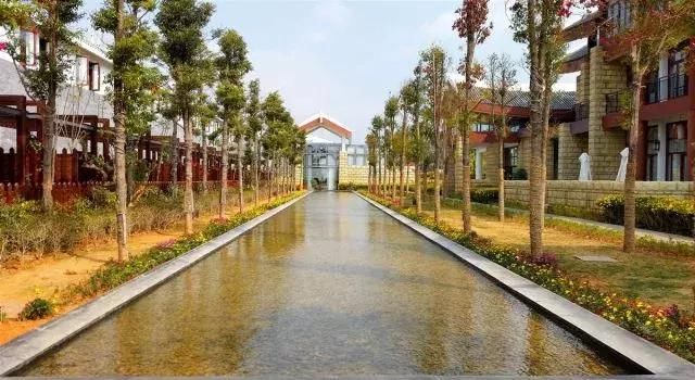 清凉新村游玩攻略,清凉新村游玩攻略图