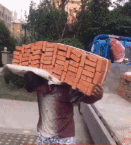 爆笑GIF: 只有养狗的人才懂洗狗的痛!