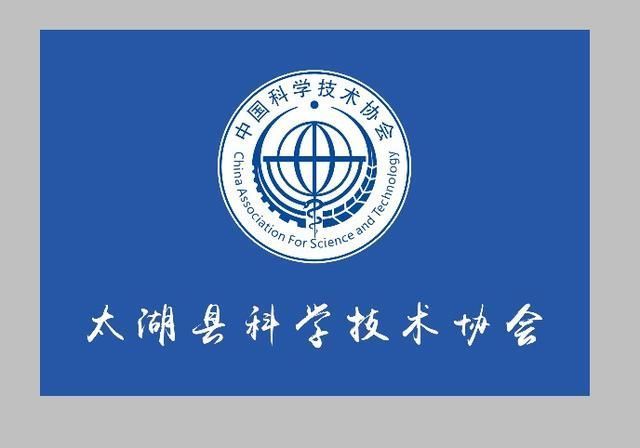 太湖县青少年科技创新教育发展现状及前景调研