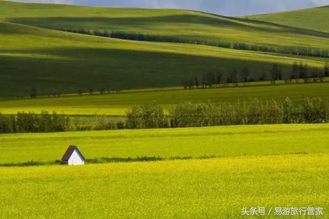 2018全国最美的油菜花你准备好去看了吗