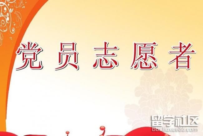 党员志愿者活动总结3篇