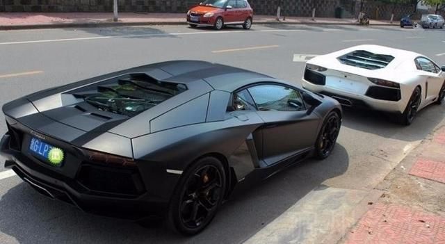 汽车品牌占有量_中国汽车人均占有量