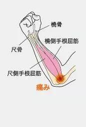 t01f0840ed6502cd7c8.jpg