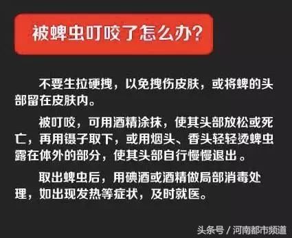 信阳一村医被虫咬后突然离世，双腿肿胀还发青！村民慌了：啥虫？