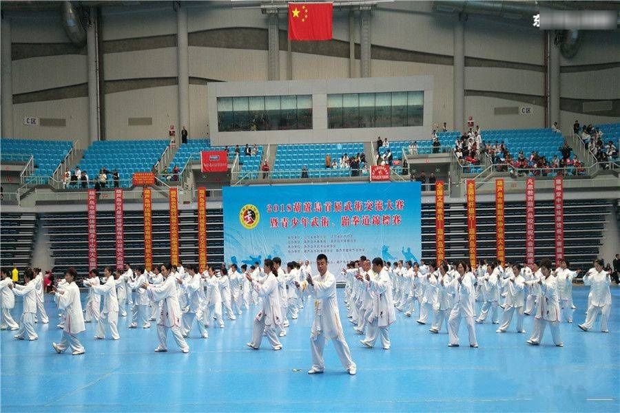 2018葫芦岛首届武术交流大赛暨青少年武术 跆