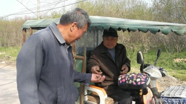 农村人不愿外出打工,在家做不起眼的小生意,收