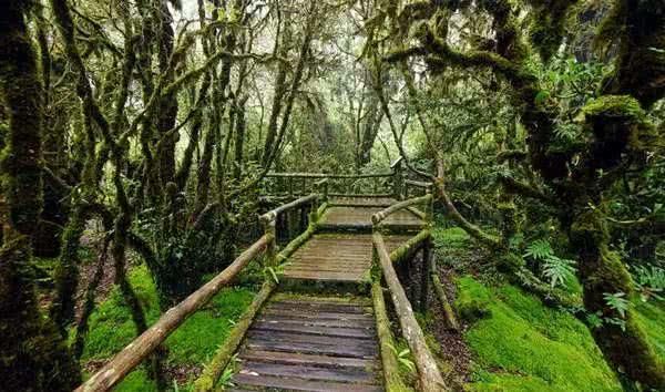 泰国最美国家公园：因他农山