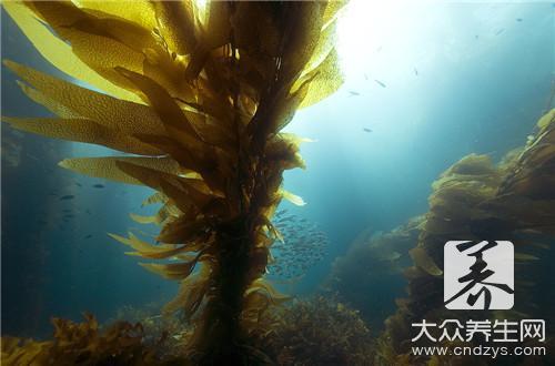 小八爪鱼怎么处理?