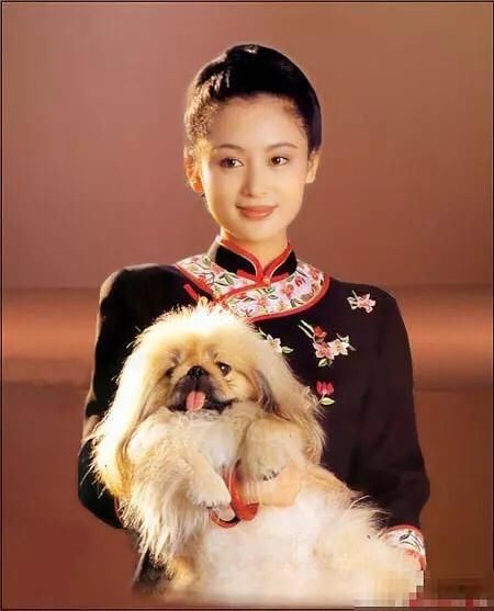 范冰冰红毯爱露发际线,却被嘲又直又秃,不如这