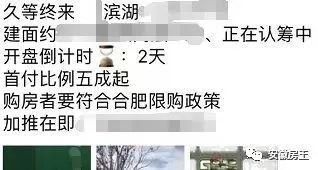 政府打击关系户!区长辞职!35名公职人员已被惩罚!合肥刚需呼吁公