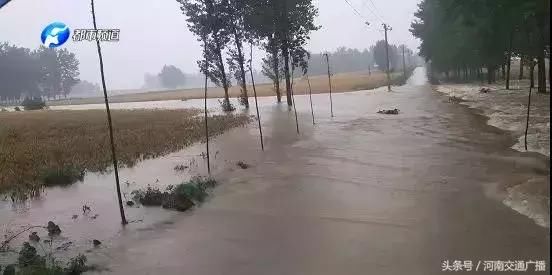 南阳突遭暴雨！淅川、邓州受灾严重，水深齐腰、房屋受损……