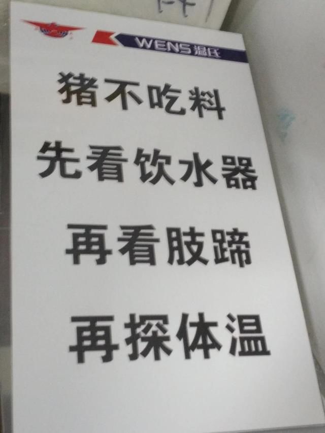 温氏内部流出一张图，养殖户一看就知道猪不吃料怎么解决！