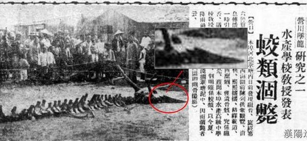 真龙?历数近代几次坠龙事件，真的有龙吗?