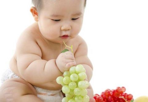 7~9月宝宝大脑活跃期 吃出来的聪明宝宝