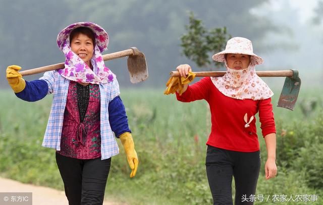 一生产队长说；农村女人回家才能振兴乡村，这5个理由很实在！