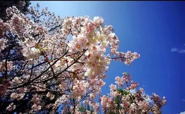 泰国最美国家公园：因他农山