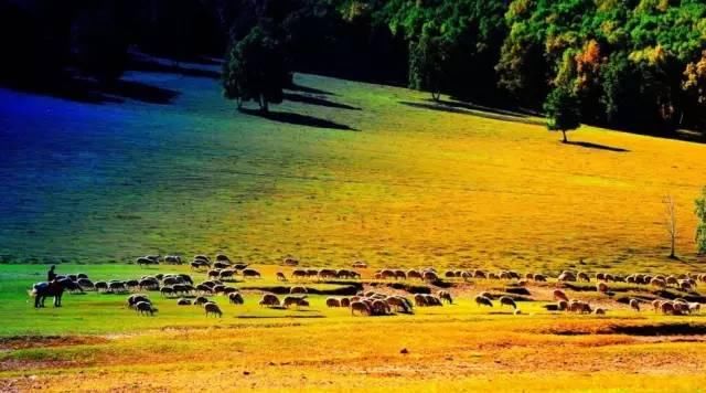 7月走进坝上、走进草原、走进盛夏的乌兰布统！