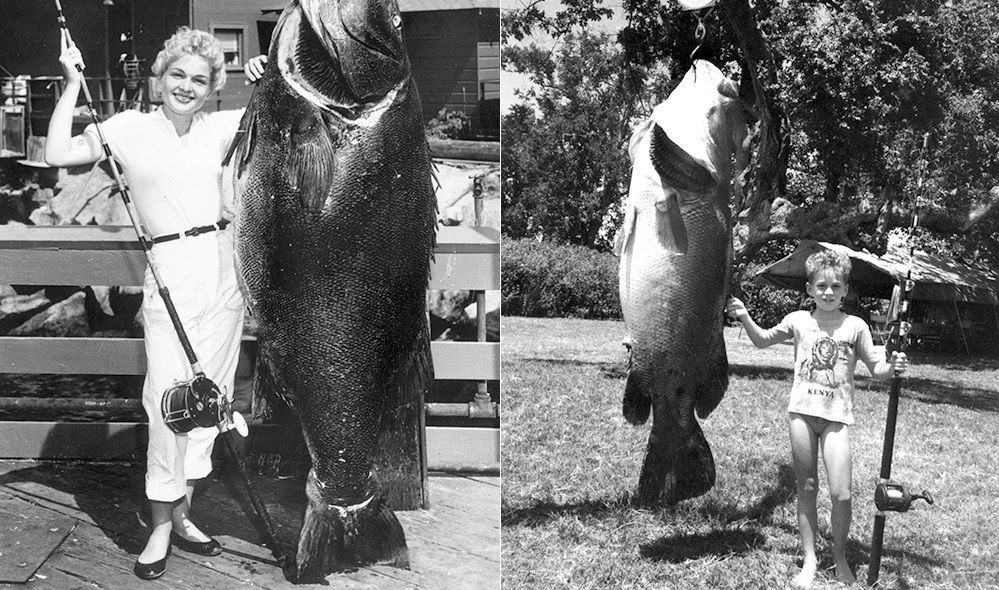 镜头下:人们捕捉过的“鱼类怪兽”，中国鱼王也在其中