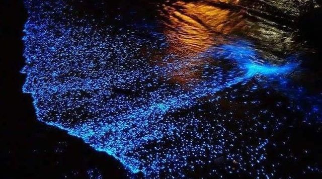 唯一经济发达的殖民地,人均GDP是我国4倍,只