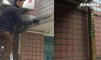 越来越多人不装防盗窗了,如今盛行装这种,小偷看了再也不敢爬窗