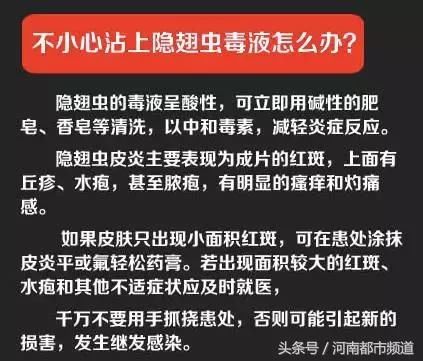 信阳一村医被虫咬后突然离世，双腿肿胀还发青！村民慌了：啥虫？