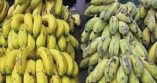 香蕉不能乱吃,教你几点怎样吃香蕉可以预防高