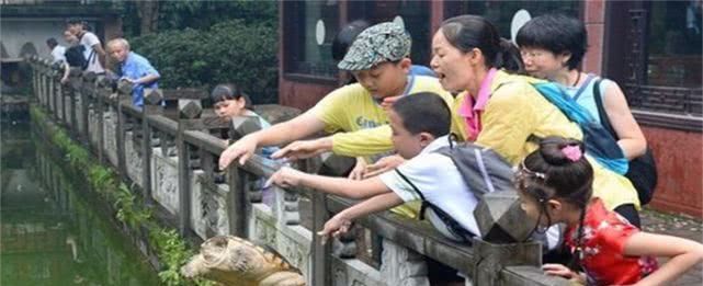 千年古刹的“放生池”,上万条“放生鱼”拥挤不堪,还算行善吗? ag真人游戏