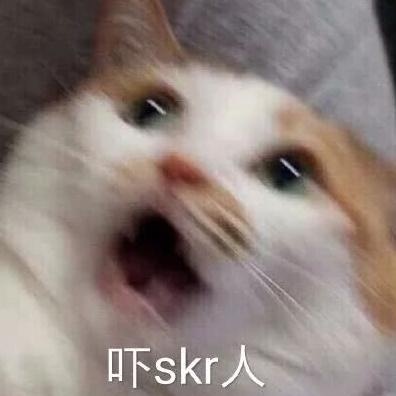 吓skr人了!这到底skr啥?
