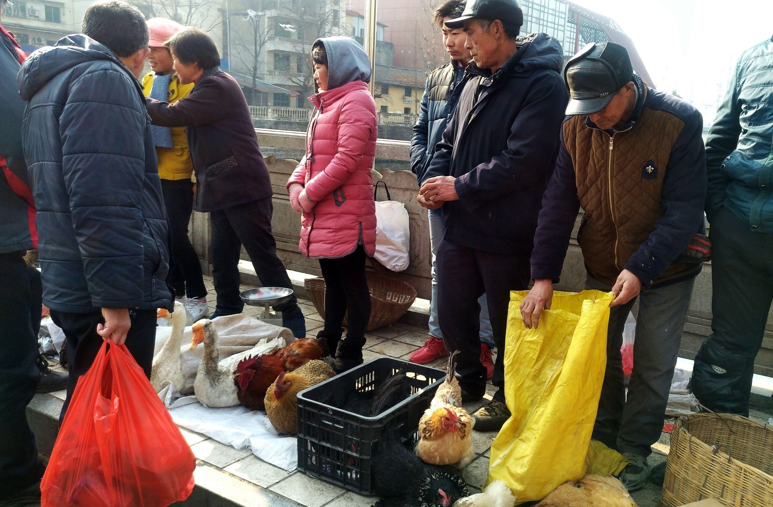 陕西土特产走俏年货市场 汉中农民半夜走路进城摆摊