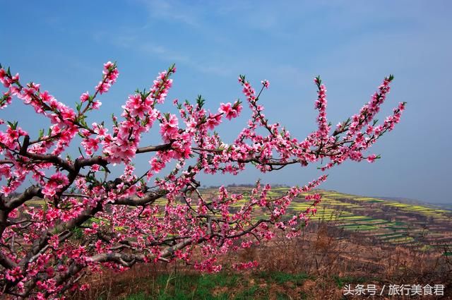 如果你喜欢，又不想走太远，就来西安又一处世外桃源零口看看吧！