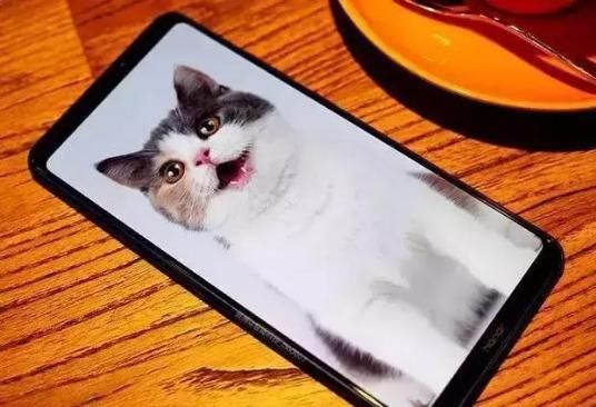 荣耀Note20新机曝光,7000毫安+麒麟980+双G