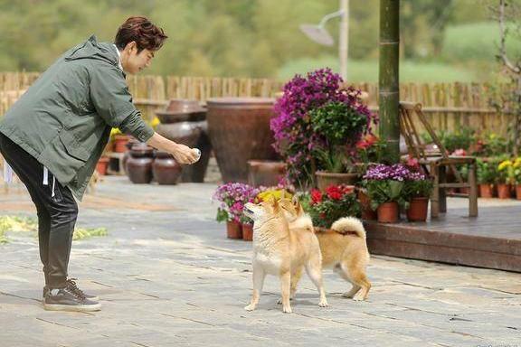 《向往的生活3》嘉宾曝光?罗志祥陈伟霆,有没