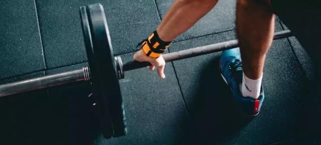 练出多少肌肉会达到极限?蠢人就关心这个问题