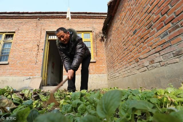 “不看家中宝，只看门前草”，农村的识人标准！