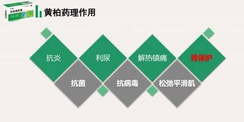 千年苗药“克淋通胶囊”入选《中成药临床应用指南》