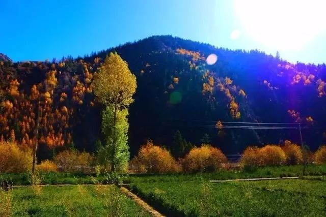 小长假别再出国了!浪了青海，就等于浪了全世界，不信你看!