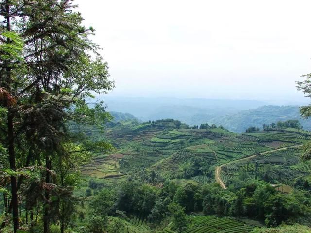 比都江堰还牛！成都南边这个小城，美景美食冷门到极致，1.5h到！