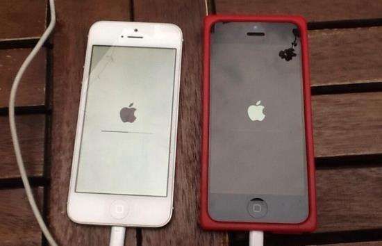 iPhone手机怎么开启腕针显示 t01f480a6bbe240498a.jpg