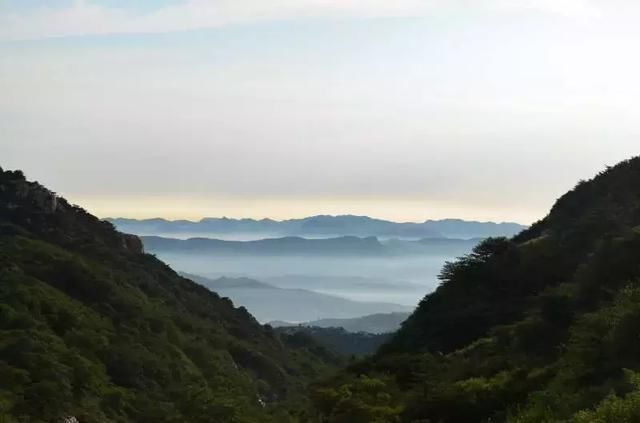 花海留香 是香山的旖旎风光