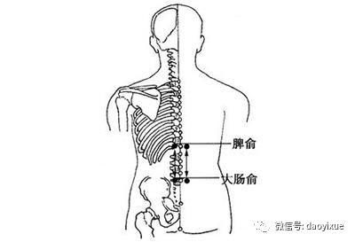 脾有病，人就废一半!脾衰比肾虚更可怕，99%的人都不知道!