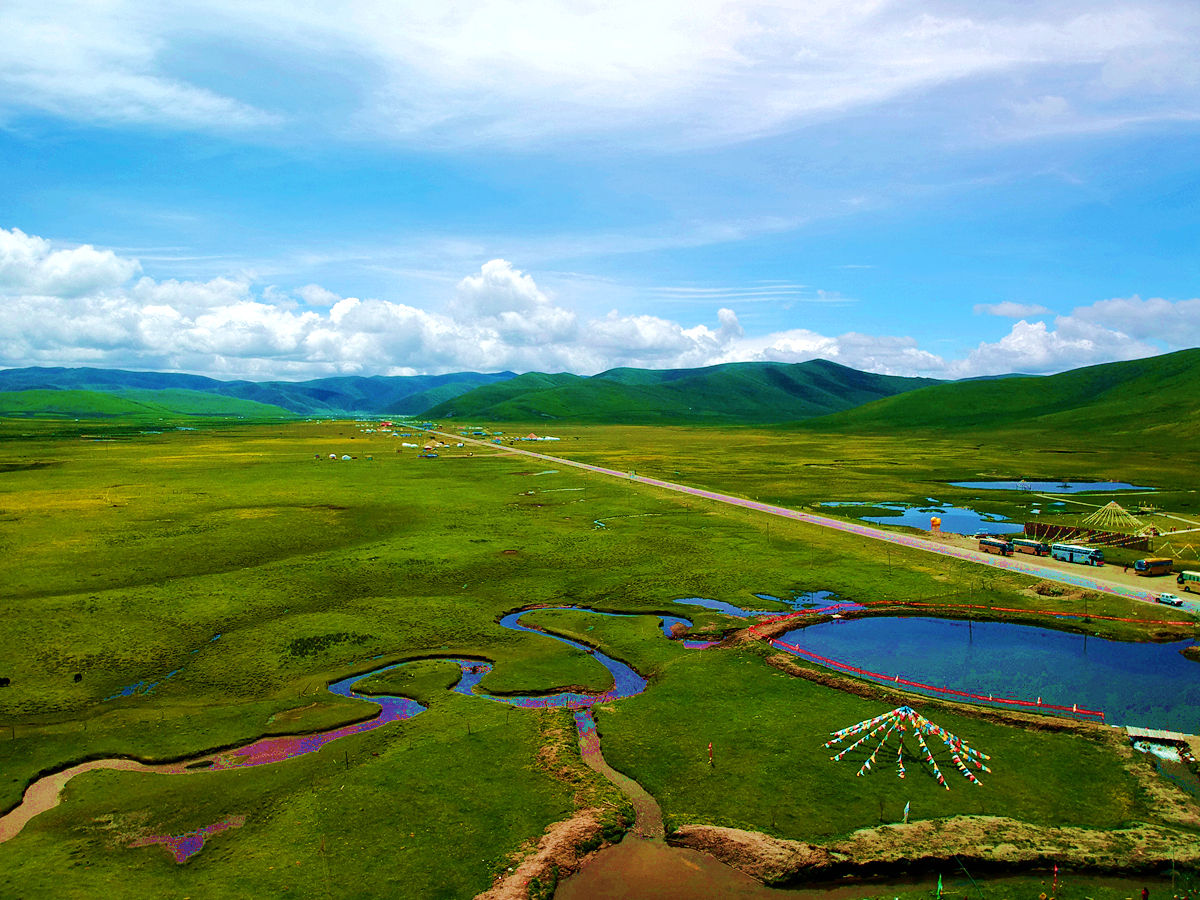 尽管近日四川天气不好 但阿坝若尔盖草原仍是